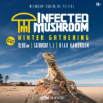 כרטיס לאירוע - Winter Gathering - Infected Mushroom